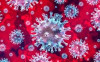 Solicitan Sesión Especial para analizar prevención y control del Coronavirus