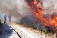 Saesa desconecta suministro eléctrico por incendio forestal en Puerto Montt