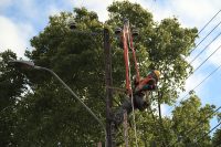 Saesa beneficia a vecinos de Polincay con faenas de mantenimiento de redes eléctricas