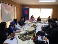 Exposición de artesanías mapuche williche se realiza en Osorno