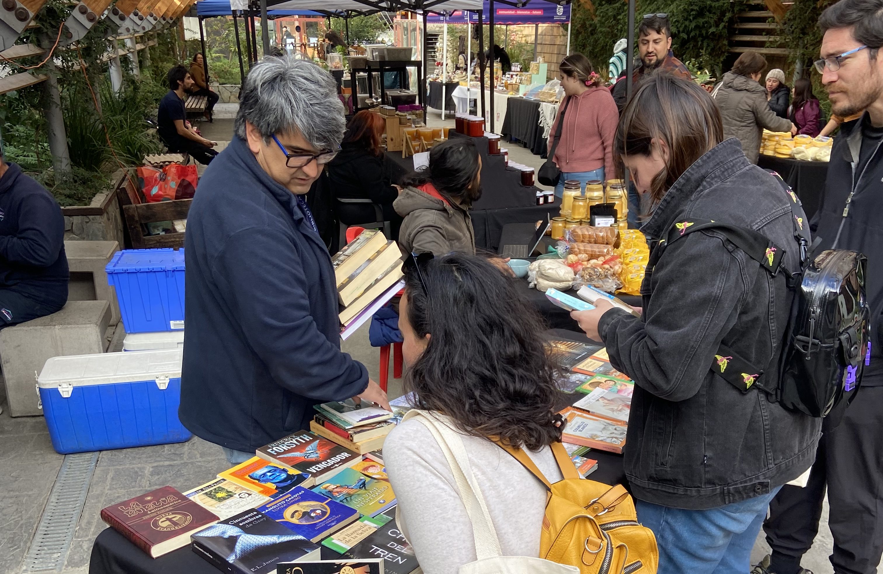 Puerto Varas celebra el Día del Libro con variadas actividades
