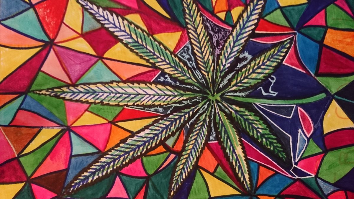 Cannabis Medicinal, Marihuana, Diario Puerto Varas, Cultura y Vida Sana