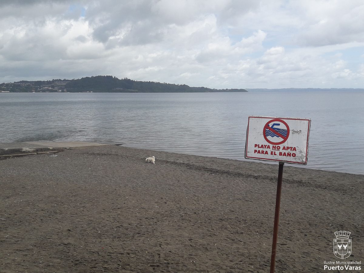 Playas habilitadas: aplicación para celulares que informa sobre balnearios chilenos - Playa no apta para el baño - Diario Puerto Varas