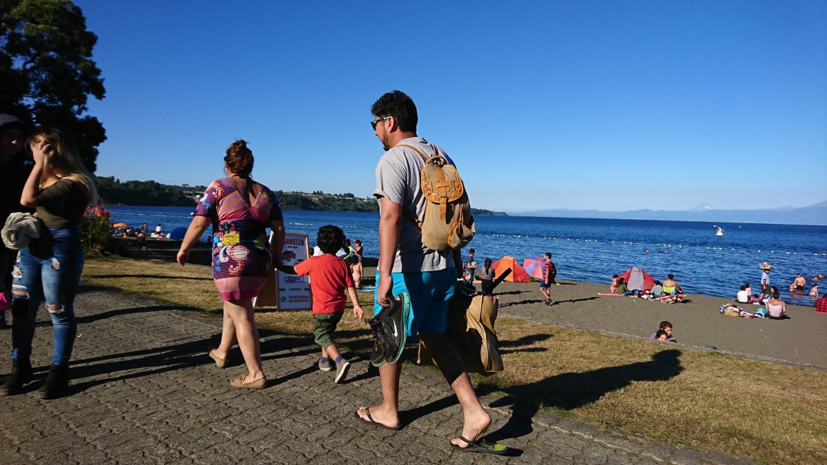 Diario Puerto Varas Noticias Actualidad Columnas de Opinión Actualidad