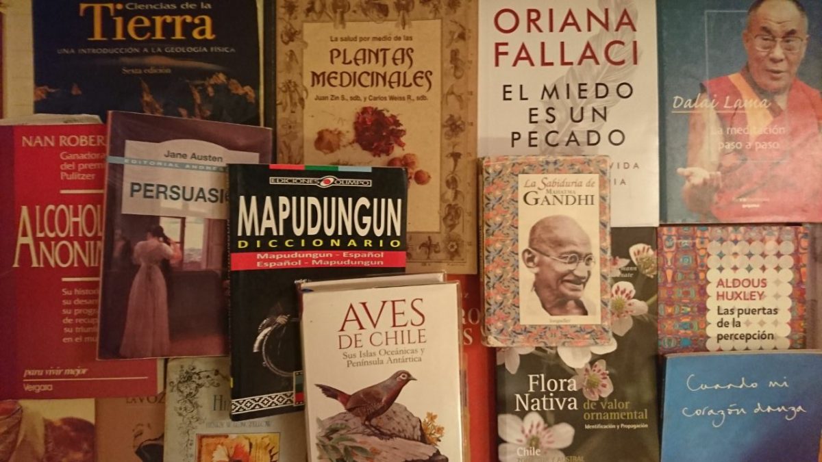 Diario Puerto Varas Noticias Cultura Vida Sana Libros