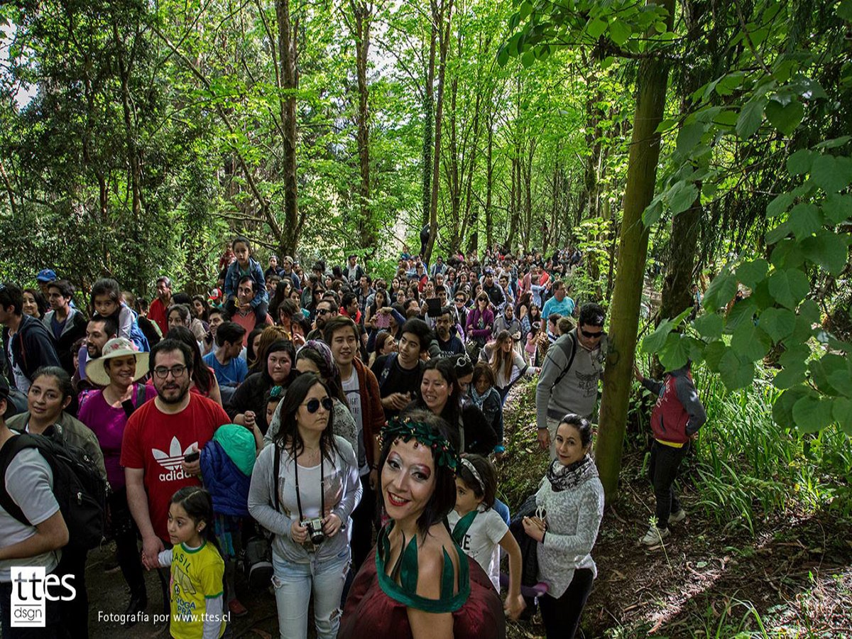 Diario Puerto Varas Carnaval del Sur