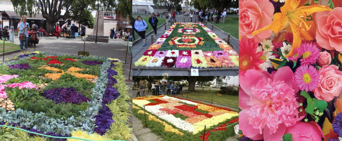 Diario Puerto Varas Turismo y Panoramas Muestra Floral Club de Jardines de Puerto Varas