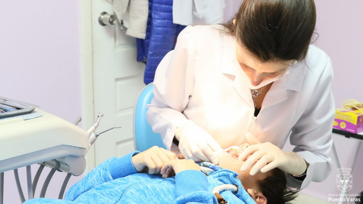 Diario Puerto Varas Noticias Actualidad Programa Dental
