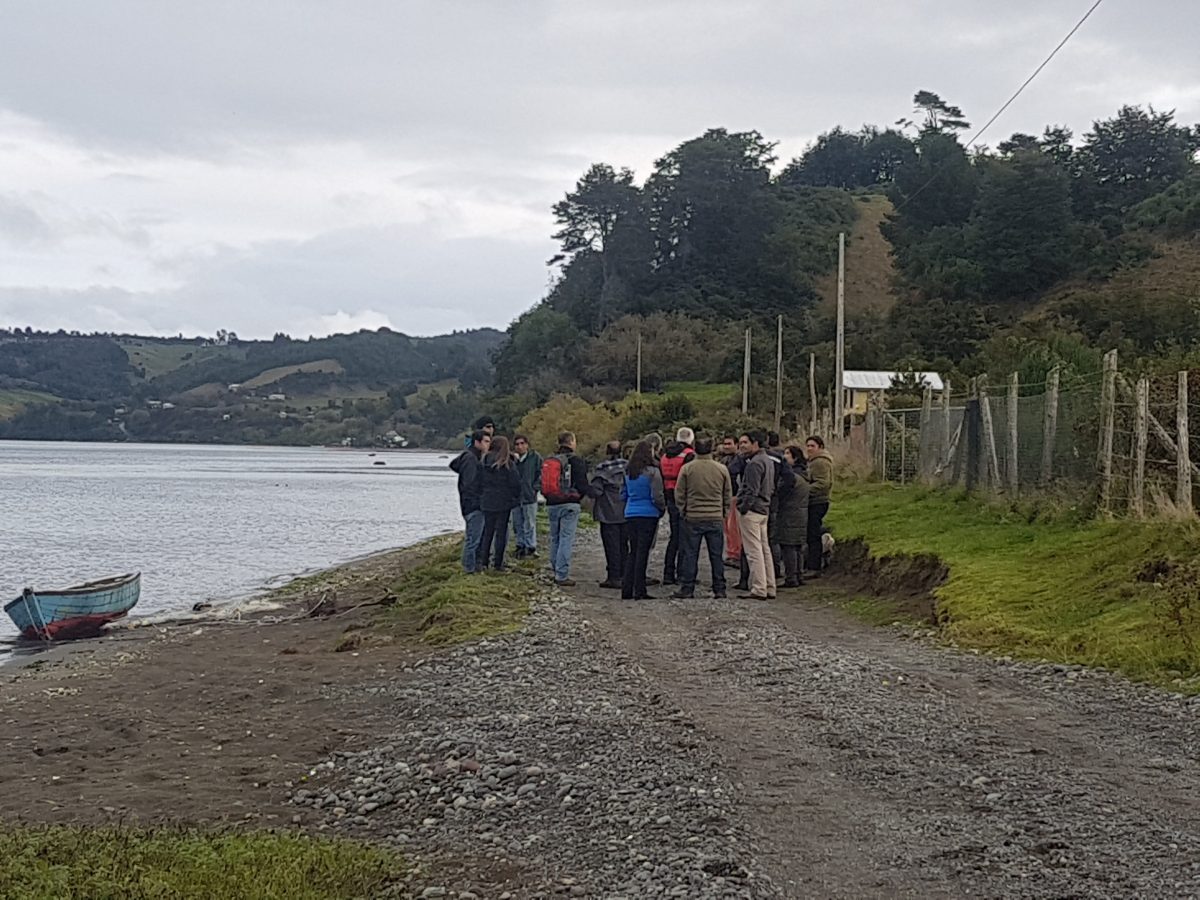 Diario Puerto Varas Noticias Actualidad comuna de Puqueldón