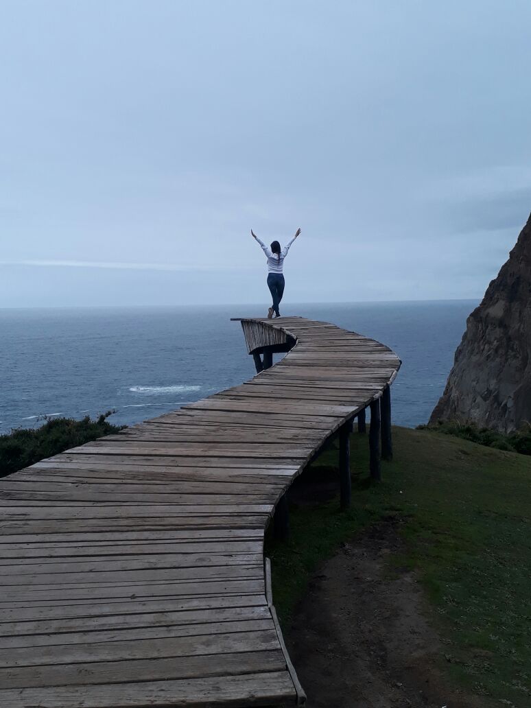 Diario Puerto Varas Columnas de Opinión