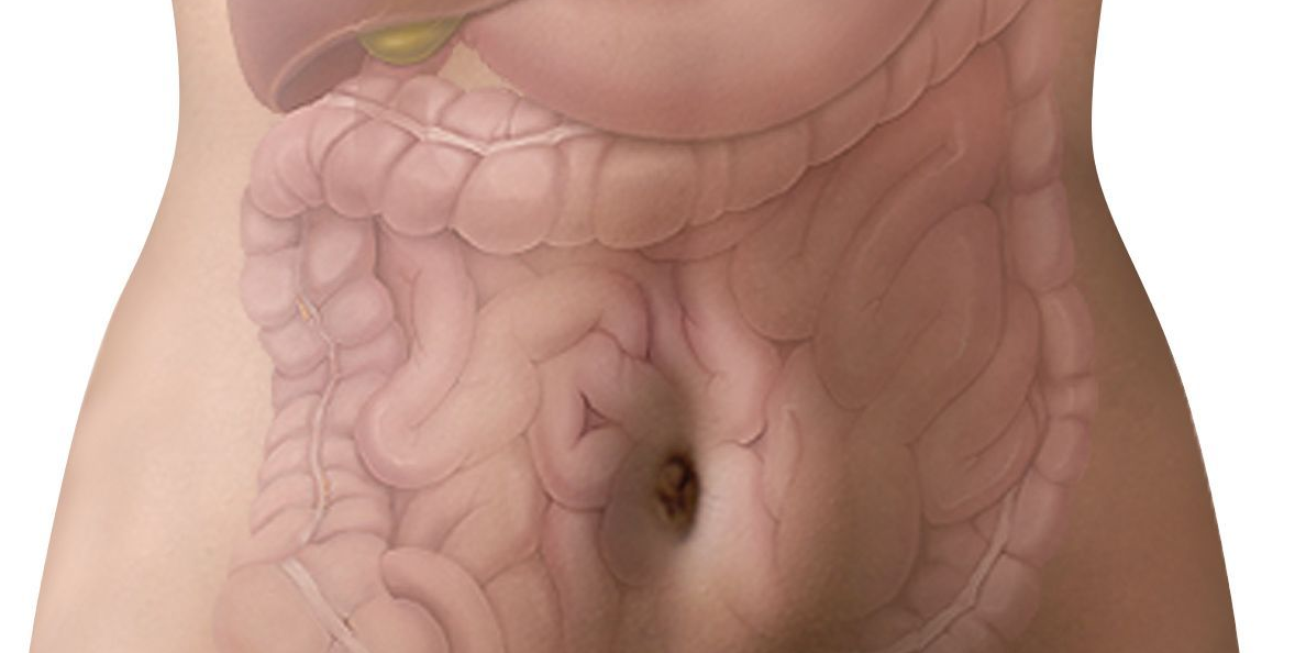 Diario Puerto Varas Noticias Actualidad Cultura y Vida Sana Aumento en Enfermedades Inflamatorias Intestinales por dieta occidental 19 de mayo: Día Mundial de la Enfermedad Inflamatoria Intestinal