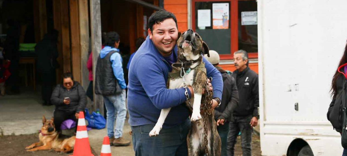 Diario Puerto Varas Noticias Actualidad Esterilización de Mascotas Tenencia Responsable