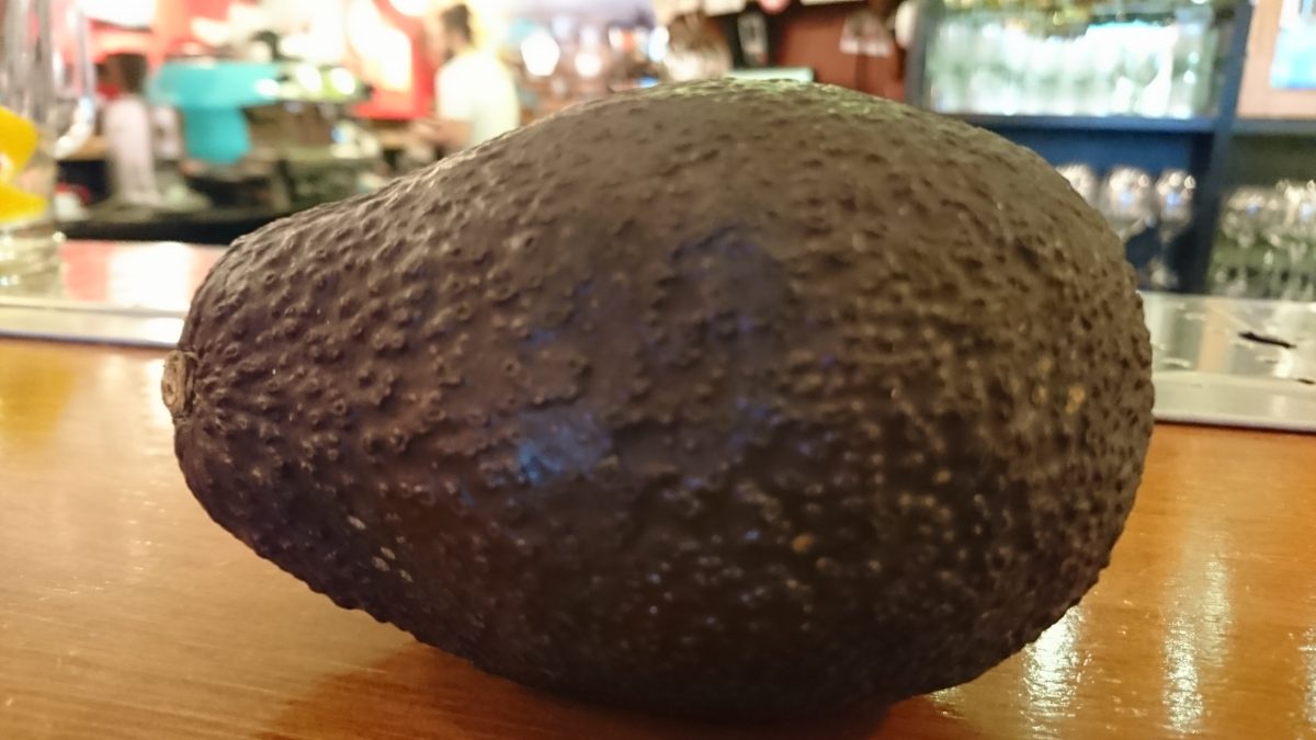Diario Puerto Varas Columnas Opinión La Palta