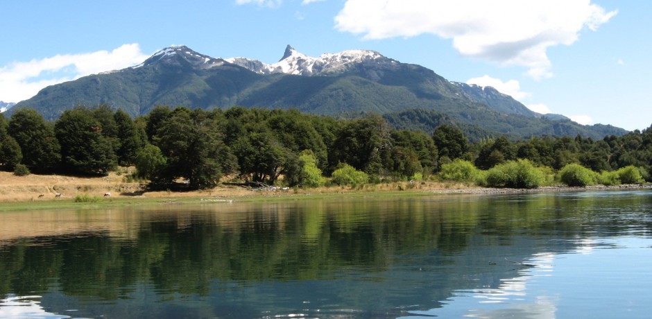 Diario Puerto Varas Noticias Actualidad Palena Migración