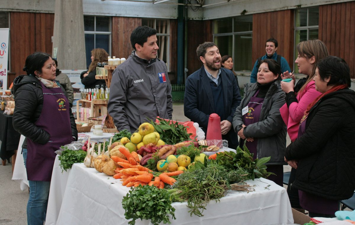 Diario Puerto Varas Noticias Actualidad Feria Mujer