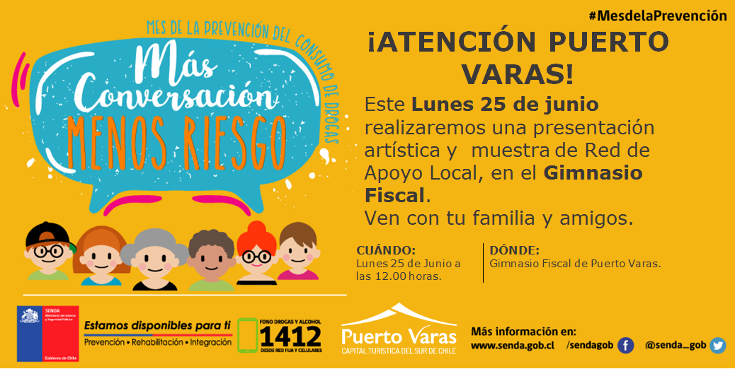Diario Puerto Varas Noticias Actualidad