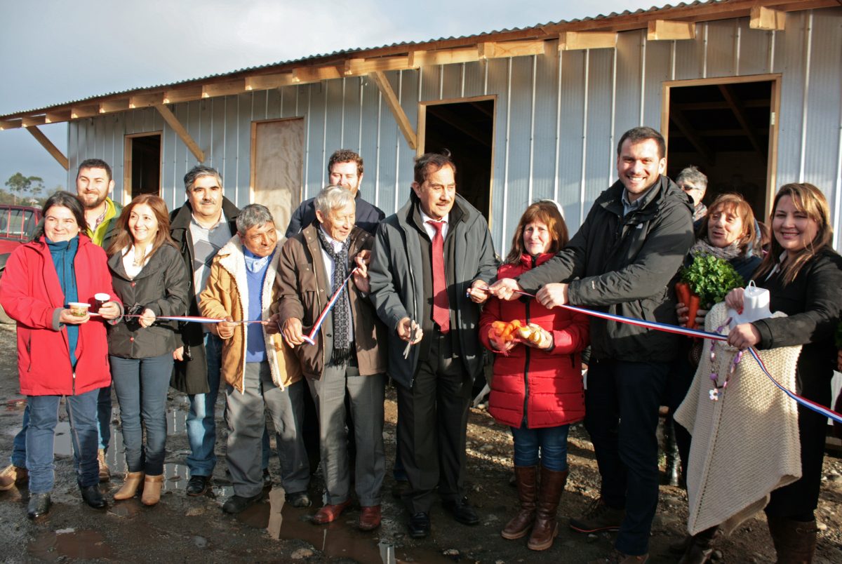 Diario Puerto Varas Noticias Actualidad Puluqui