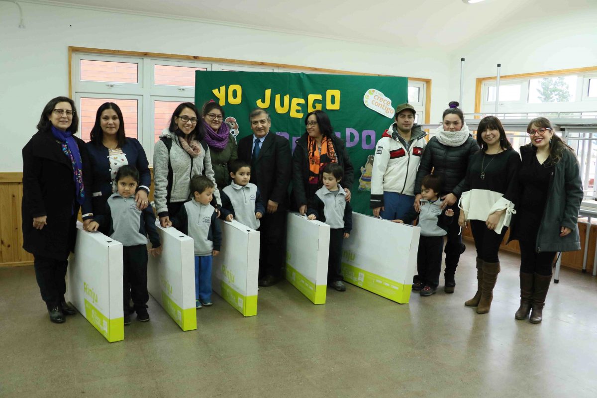 Diario Puerto Varas Noticias Actualidad