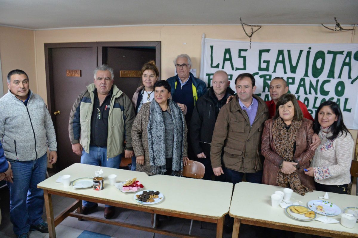 Diario Puerto Varas Noticias Actualidad Las Gaviotas Osorno