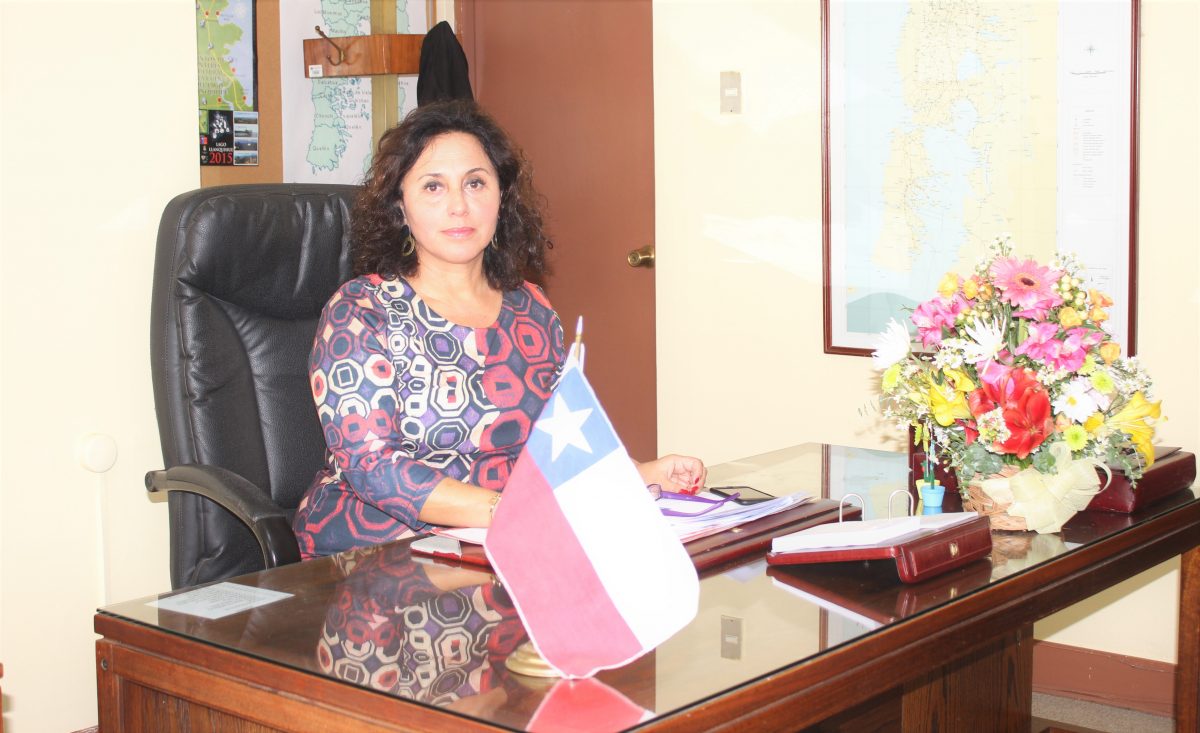 Diario Puerto Varas Columna de Opinión SEREMI DE GOBIERNO INGRID SCHETTINO