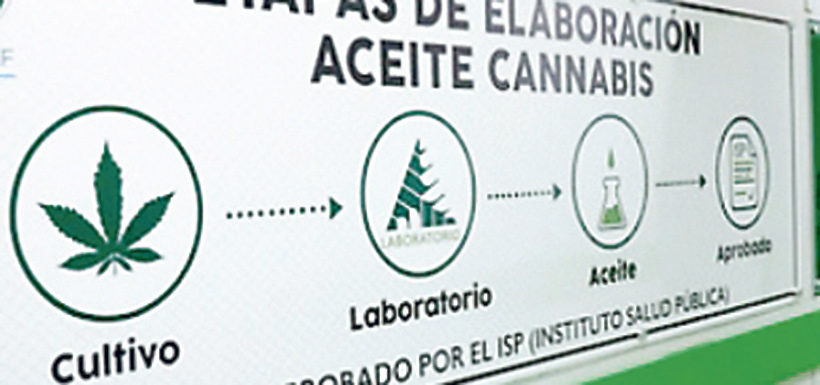 Diario Puerto Varas Instituto de Salud Pública frena distribución de Cannabiol