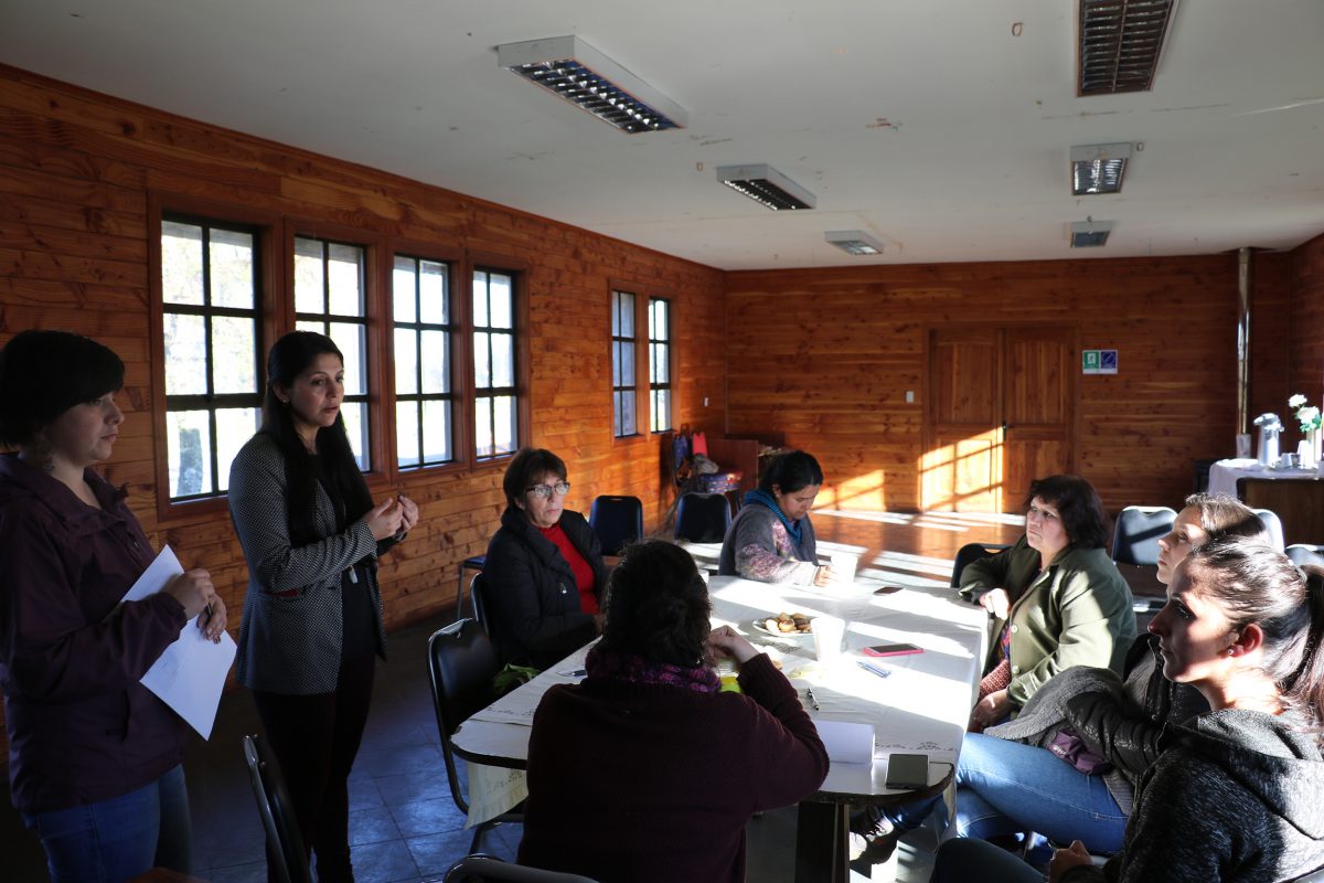 Diario Puerto Varas Taller Nueva Braunau