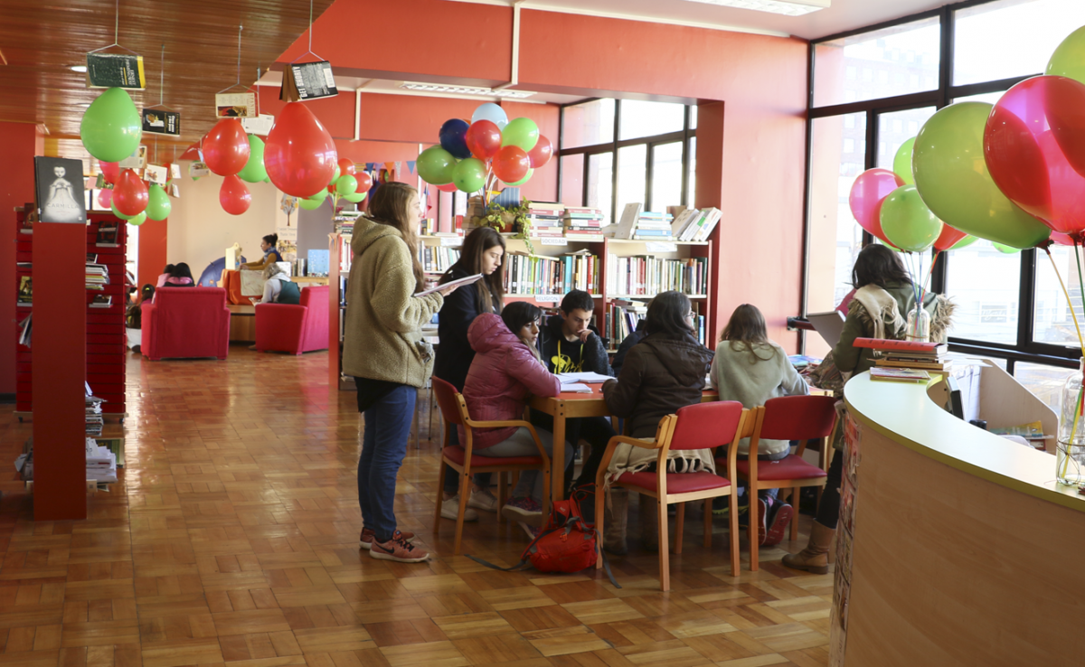 Diario Puerto Varas Actividades en Biblioteca Pública Paul Harris