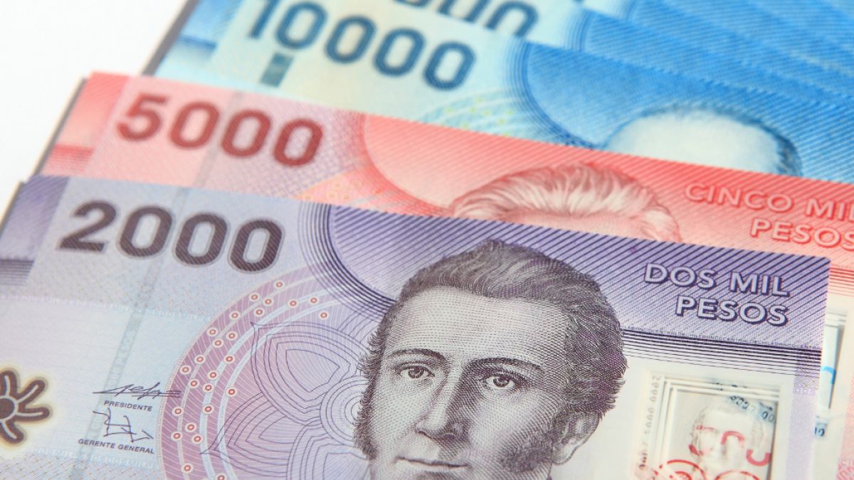 Diario Puerto Varas Columna de Opinión: Proyecto de ley de Modernización Tributaria, hacia un sistema más útil para las empresas agrícolas