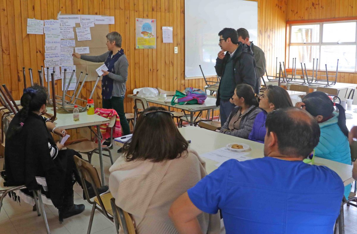 Actualización del Plan de Desarrollo Comunal