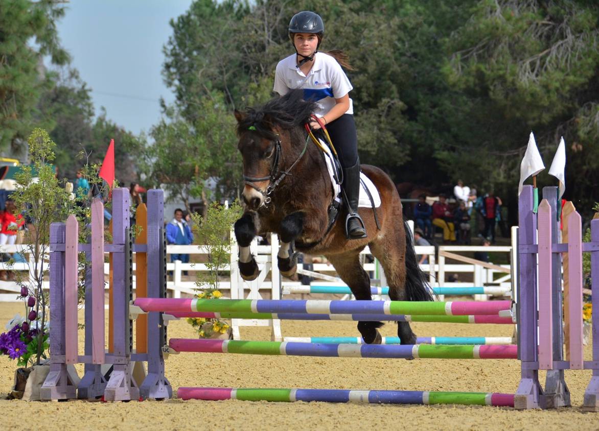 Equitacion-Ponies-10 - Chile participará con 29 binomios en Americano de Equitación de Salto - Diario Puerto Varas
