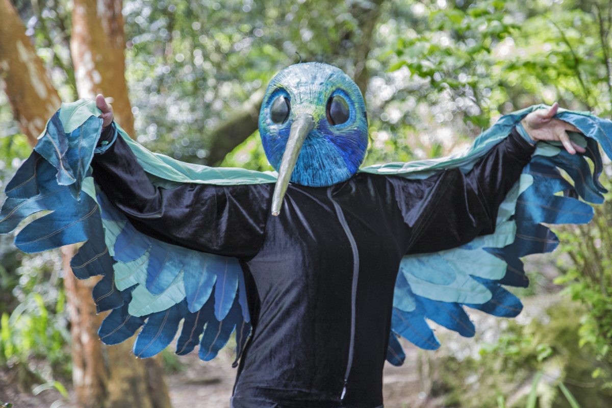 Carnaval del Sur - Diario Puerto Varas