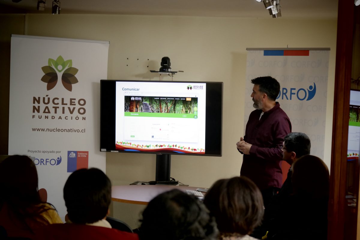 Presentación_plataformaNN - Diario Puerto Varas