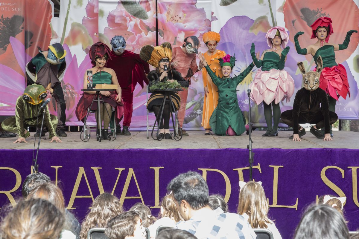 Exitosa jornada de espectáculos Carnaval del Sur - Diario Puerto Varas