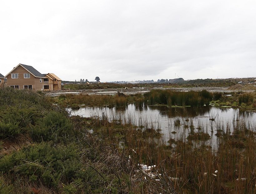 Seminario “Regulación de las Aguas en el Sur de Chile: Humedales y Aguas Lluvias” - Diario Puerto Varas