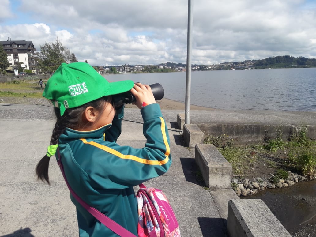 Vigilantes del Lago Llanquihue - Diario Puerto Varas