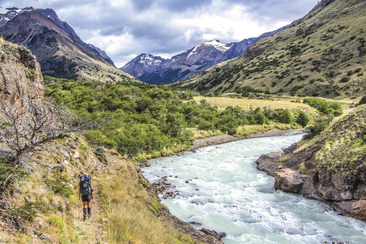 Parque Nacional Patagonia - Diario Puerto Varas