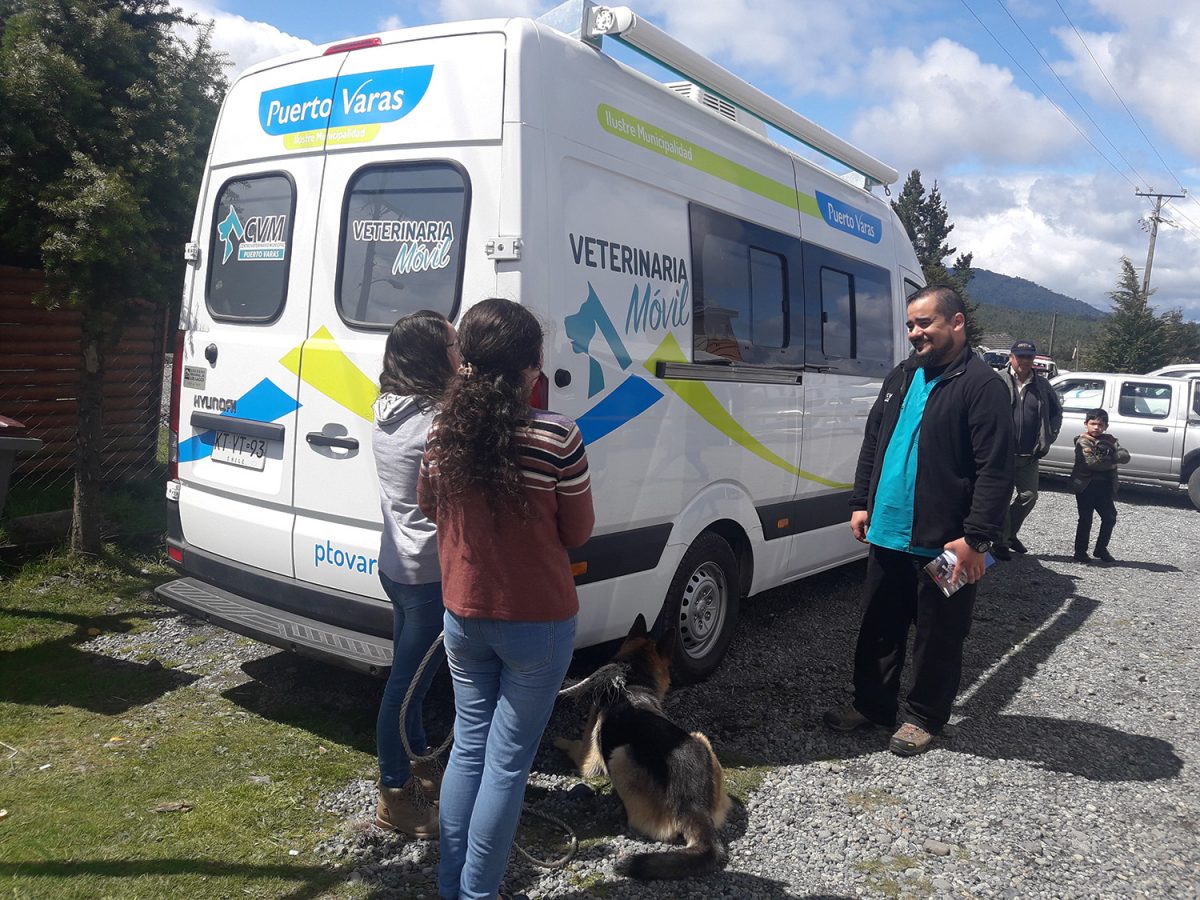 Veterinaria Móvil en Ralún - Diario Puerto Varas