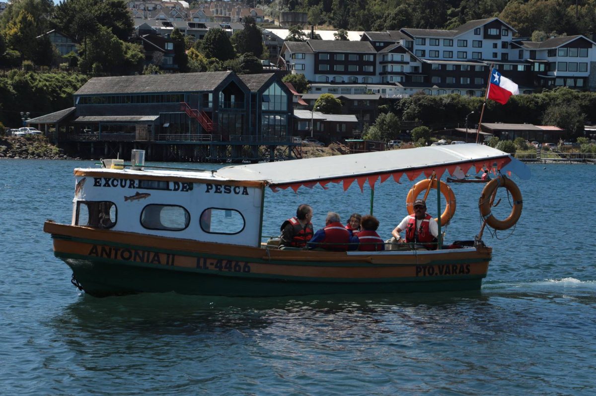 ELEAM - Diario Puerto Varas
