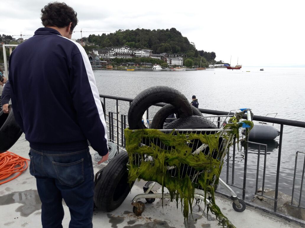 Limpieza a fondo del lago Llanquihue - Diario Puerto Varas