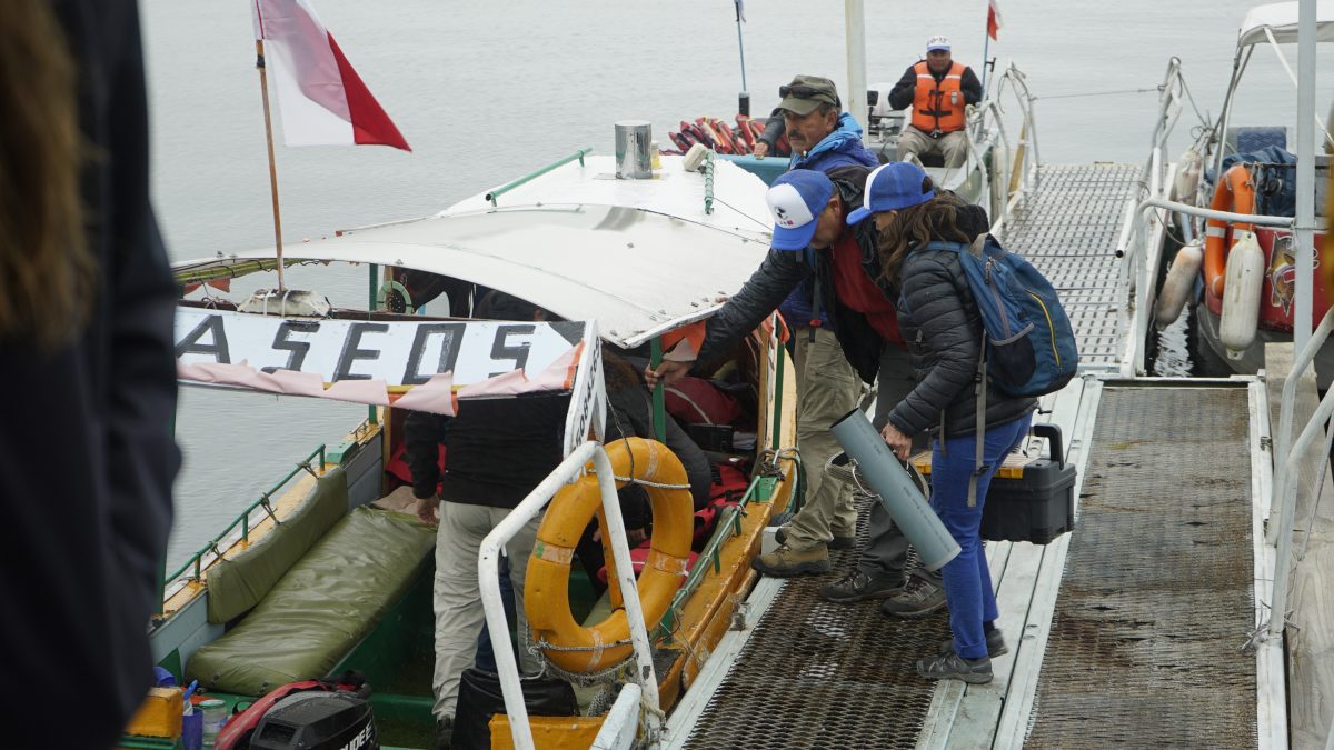 Vigilantes del lago - Diario Puerto Varas
