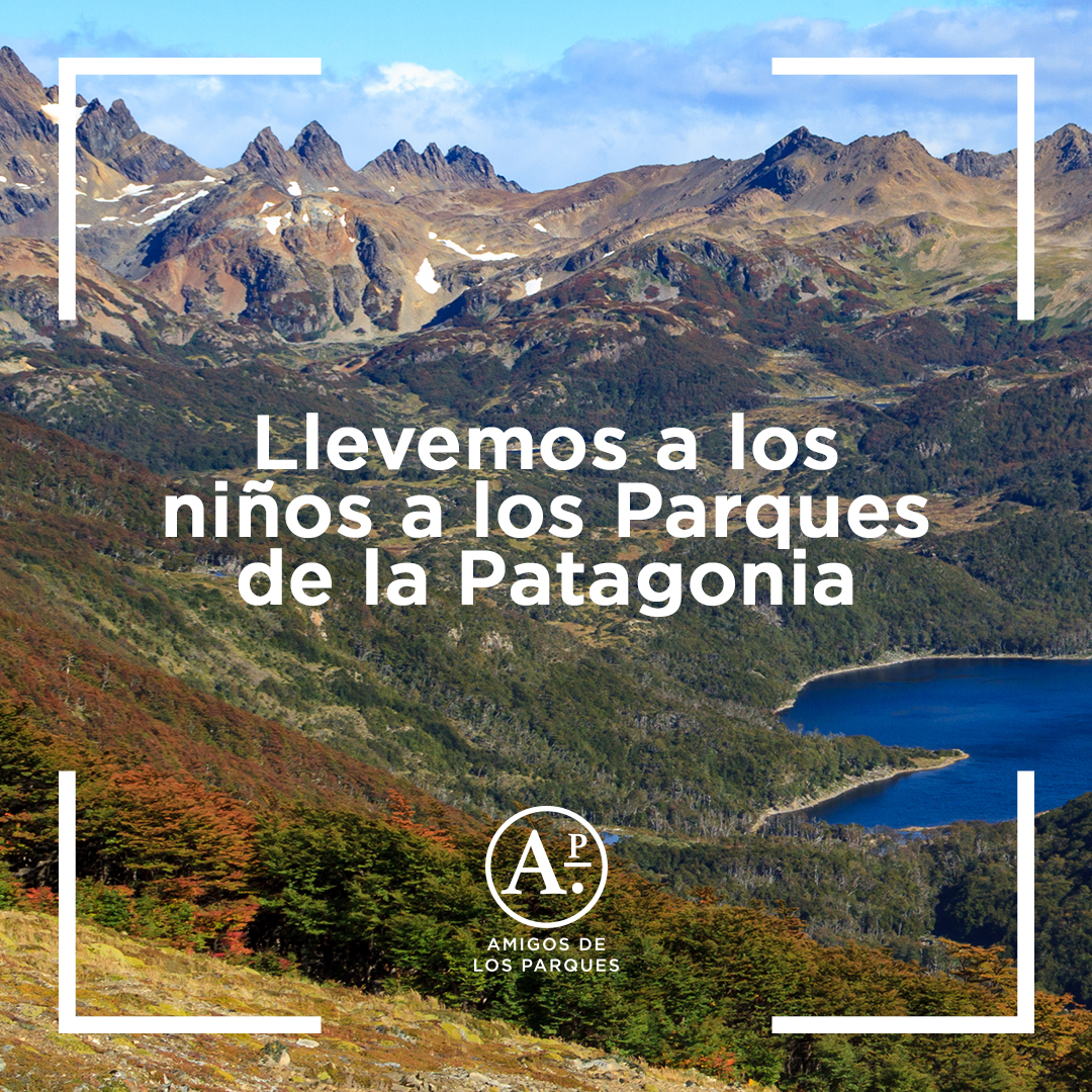 Amigos de los Parques - Diario Puerto Varas