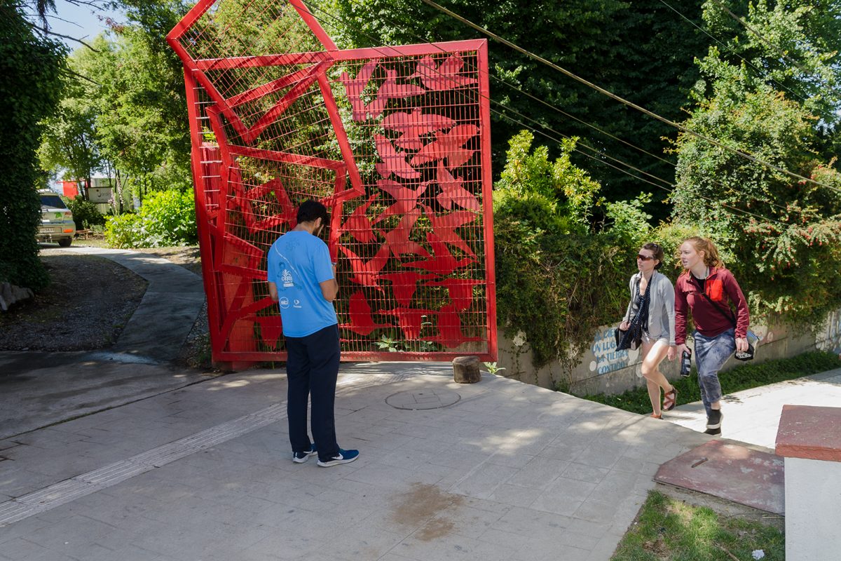 Kunstgarten - Bosque Nativo - Diario Puerto Varas