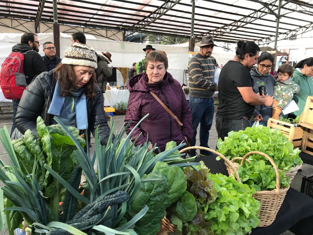 Feria agrícola - Diario Puerto Varas