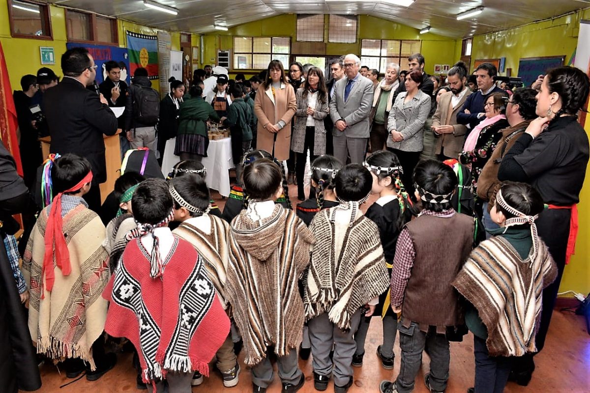 Lanzan iniciativa que incluirá salmón en la dieta de niños en Los Lagos - Diario Puerto Varas