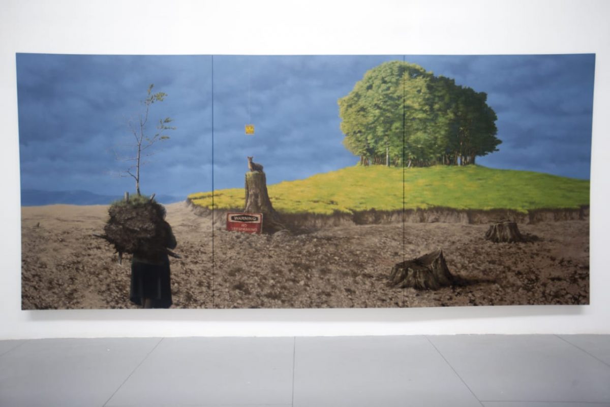 Una Tarde Cualquiera de José Triviño, fotografía de José Triviño, en Galería de Arte Bosque Nativo - Diario Puerto Varas