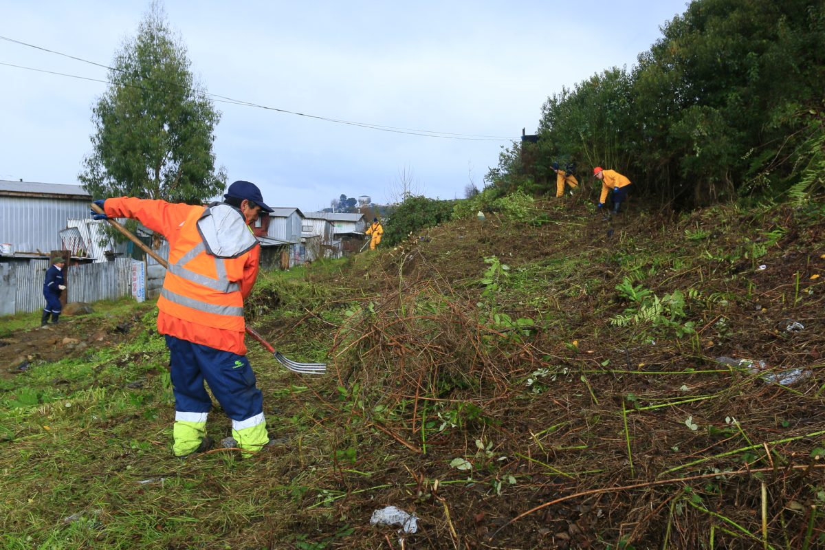 Operativos de limpieza en Puerto Montt - Diario Puerto Varas