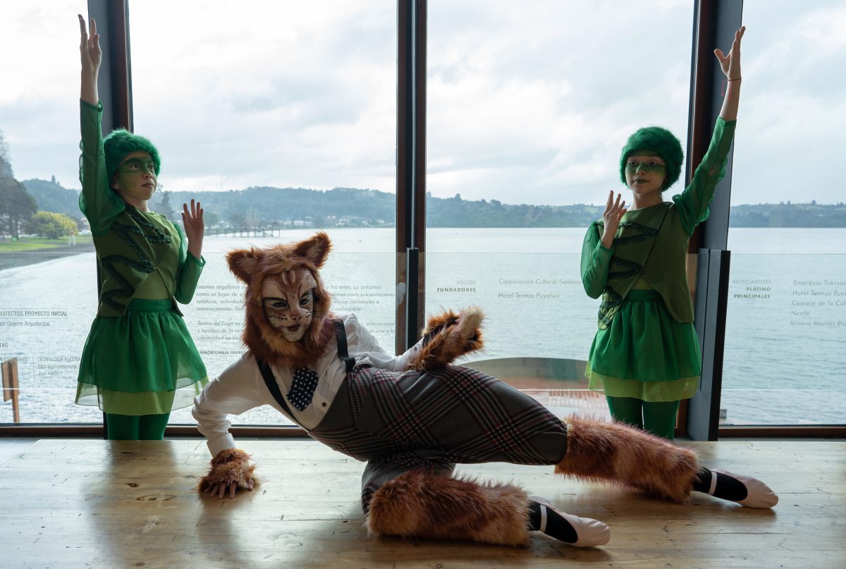 Pedrito y el Lobo -Teatro del Lago - Diario Puerto Varas