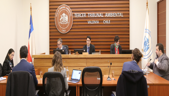 Tercer Tribunal Ambiental de Valdivia - Diario Puerto Varas
