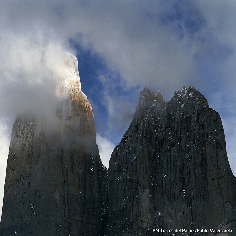 The Wild Andes - Diario Puerto Varas