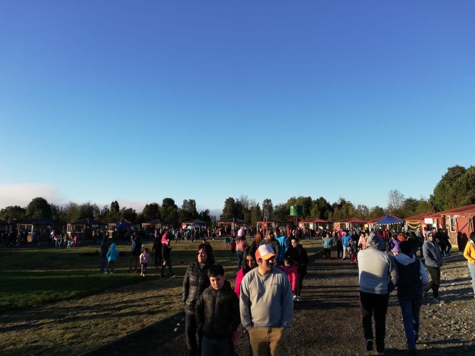 Feria Parque Vivero Alerce: masiva concurrencia - Diario Puerto Varas